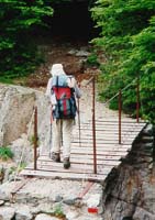 Une passerelle au dessus d'une cascade sympa sur la descente vers Vizzavona gare